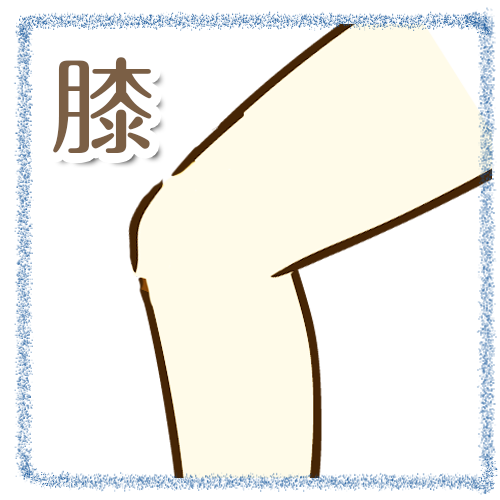 施術メニュー 膝