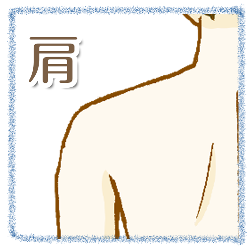 施術メニュー 肩