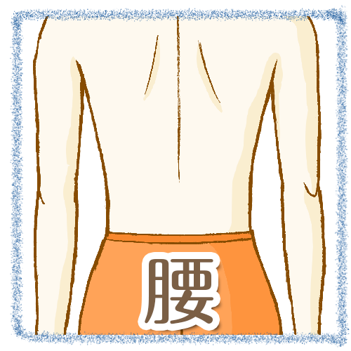 施術メニュー 腰