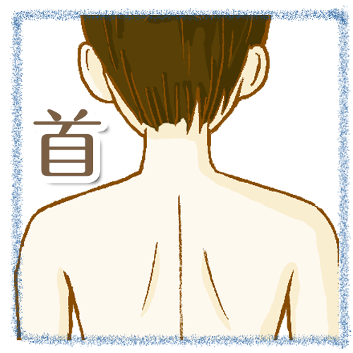 施術メニュー 首